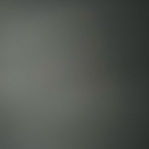 Meet your Posher, Hudson